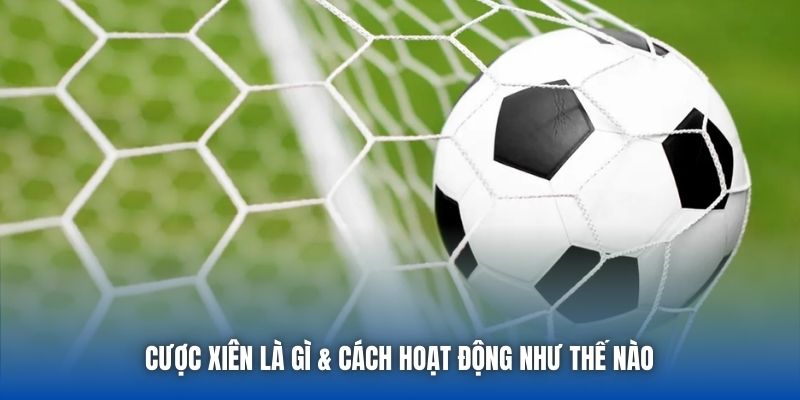 Cược xiên là gì & cách hoạt động như thế nào